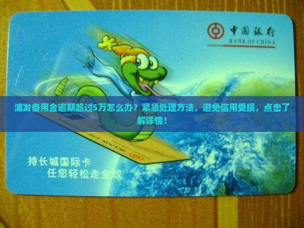 浦发备用金逾期超过5万怎么办