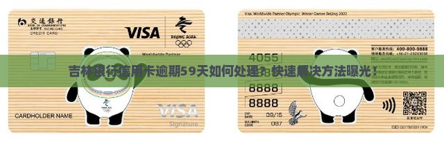 吉林银行信用卡逾期59天