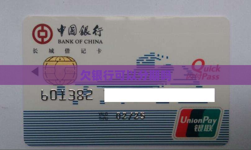 欠银行可以分期吗