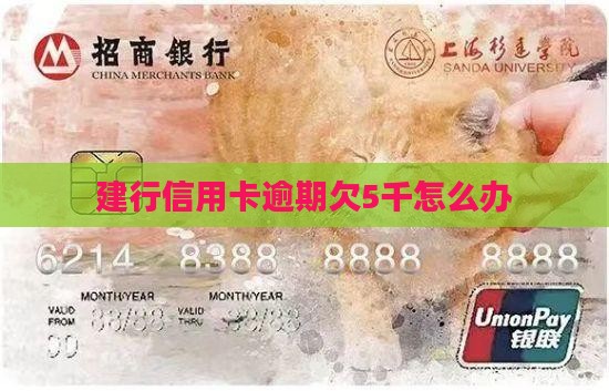 建行信用卡欠5千怎么办