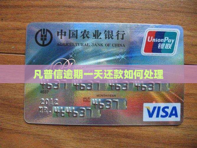 凡普信逾期一天还款如何处理