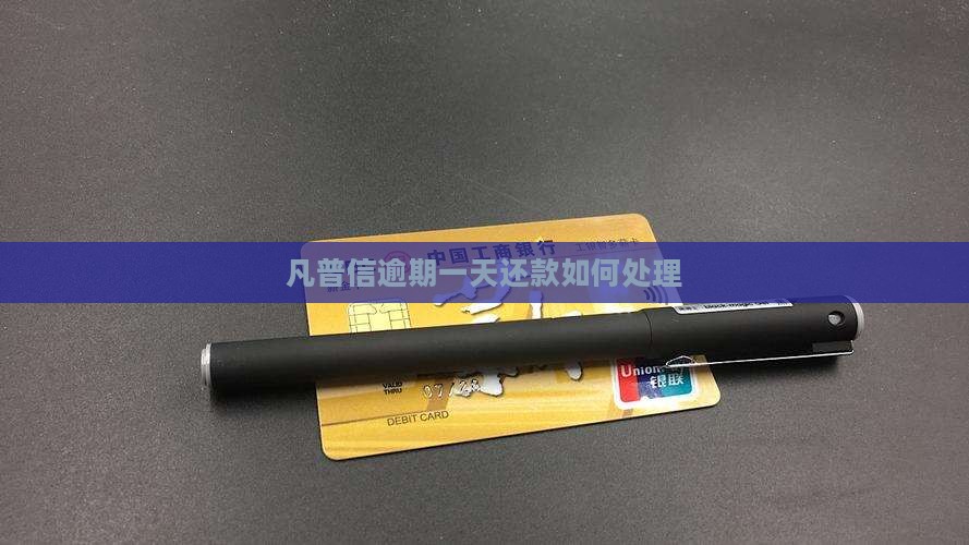 凡普信逾期一天还款如何处理
