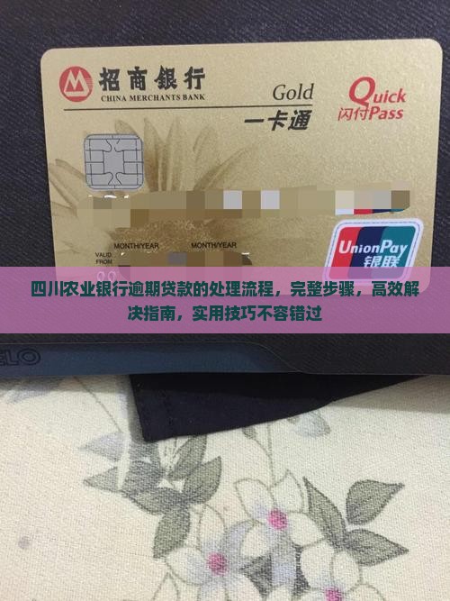 四川农业银行逾期贷款的处理流程