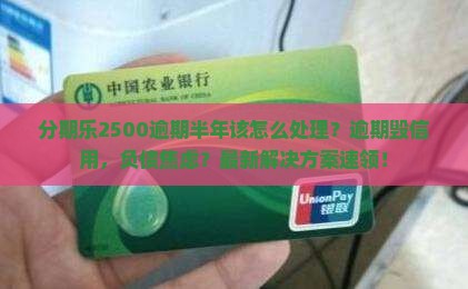 分期乐2500逾期半年该怎么处理
