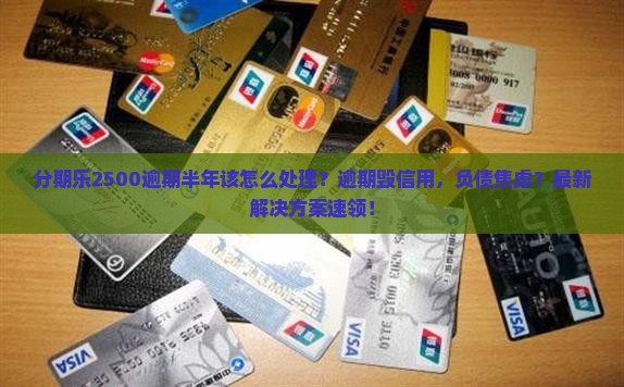 分期乐2500逾期半年该怎么处理