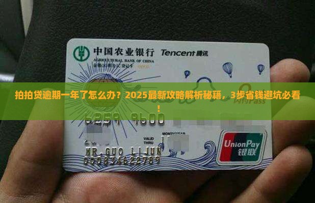 拍拍贷逾期一年了应该如何处理