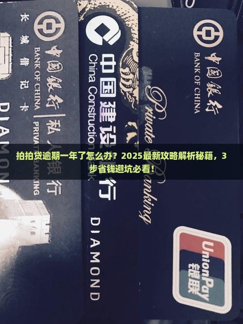 拍拍贷逾期一年了应该如何处理