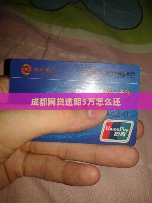 成都网贷逾期5万怎么还