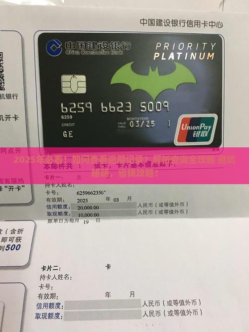怎么查看白条的逾期记录呢