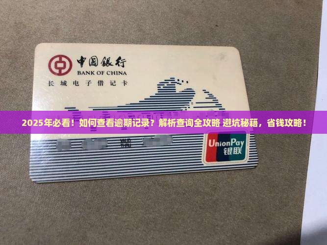 怎么查看白条的逾期记录呢