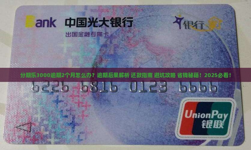分期乐3000逾期2个月