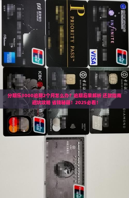 分期乐3000逾期2个月