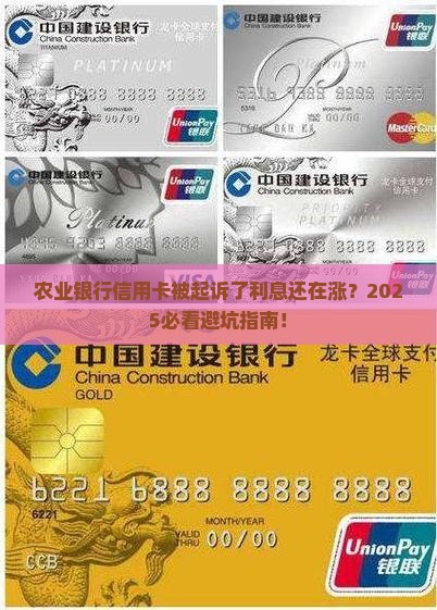 农业银行信用卡被起诉了利息还在涨怎么办