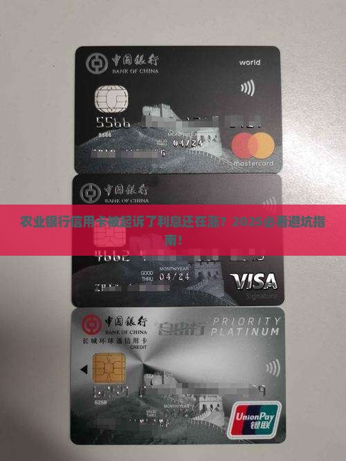 农业银行信用卡被起诉了利息还在涨怎么办