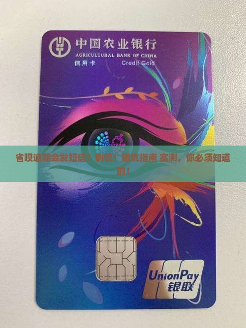 省呗逾期会发短信吗如何处理
