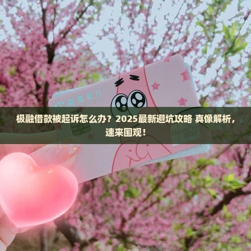 极融借款被起诉会怎么样