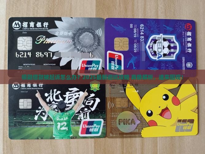 极融借款被起诉会怎么样