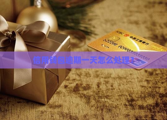 信用钱包还款逾期一天应该如何处理