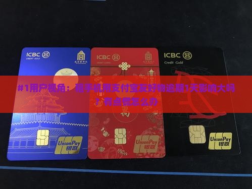 支付宝友好物租机逾期一天有影响吗怎么办