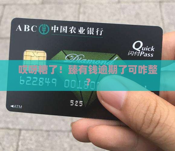 臻有钱逾期怎么办