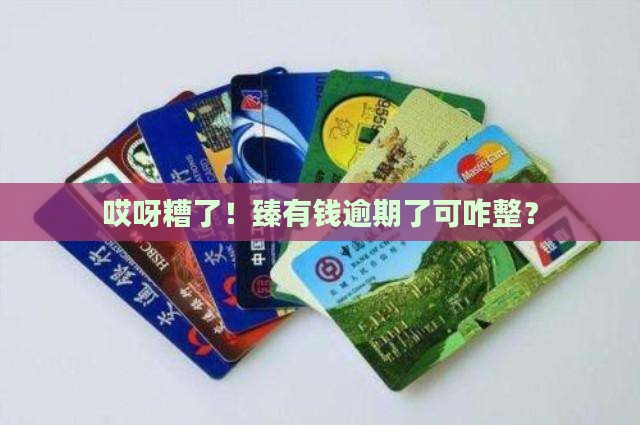 臻有钱逾期怎么办