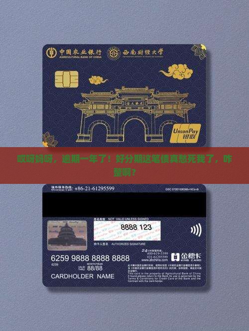 好分期逾期一年怎么办