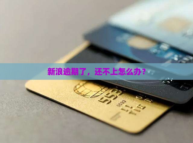 新浪逾期还不上