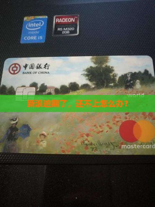 新浪逾期还不上