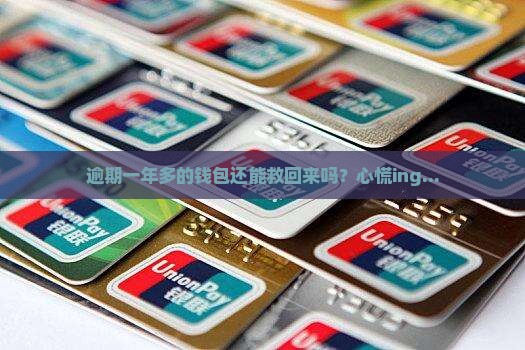 信用钱包逾期1年了怎么办 信用钱包逾期1年了怎么办