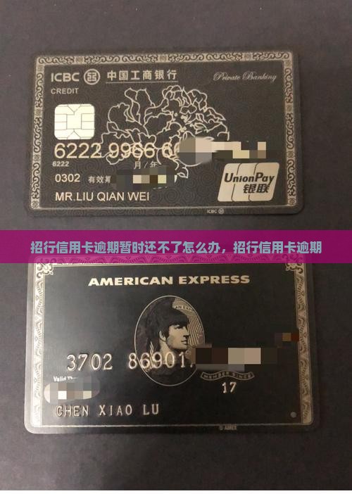 招行信用卡逾期暂时还不了