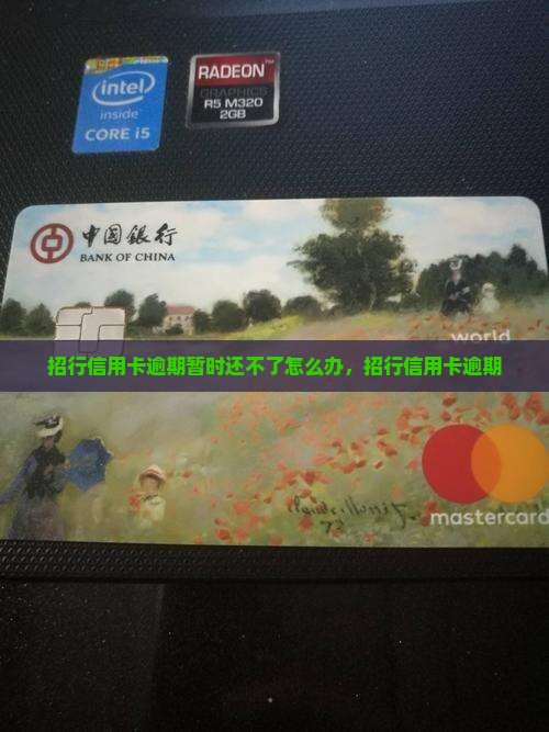 招行信用卡逾期暂时还不了
