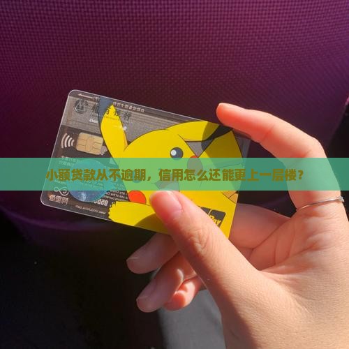 经常小额贷款没有逾期过怎么提高信用