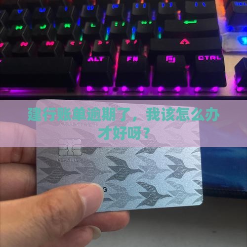 建设银行逾期了咋办啊