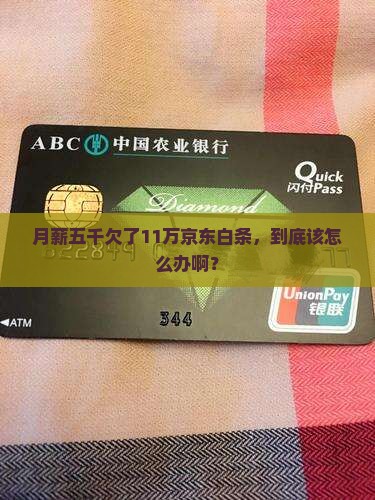 京东白条欠款11万还款怎么办