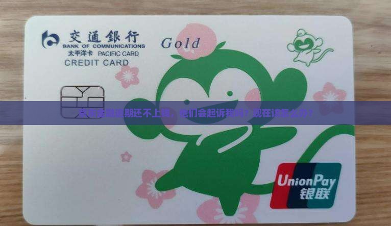 京东金融还不上钱会起诉吗怎么办
