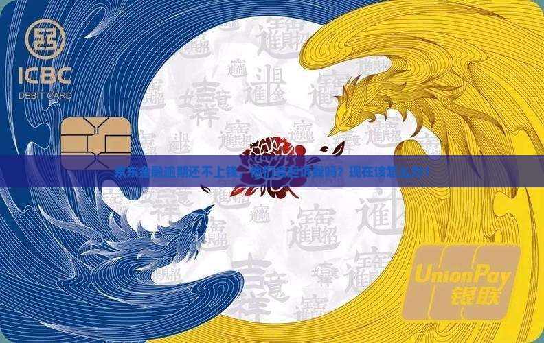 京东金融还不上钱会起诉吗怎么办