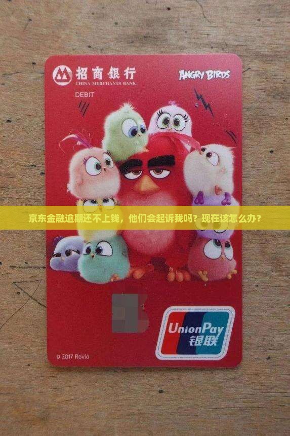京东金融还不上钱会起诉吗怎么办