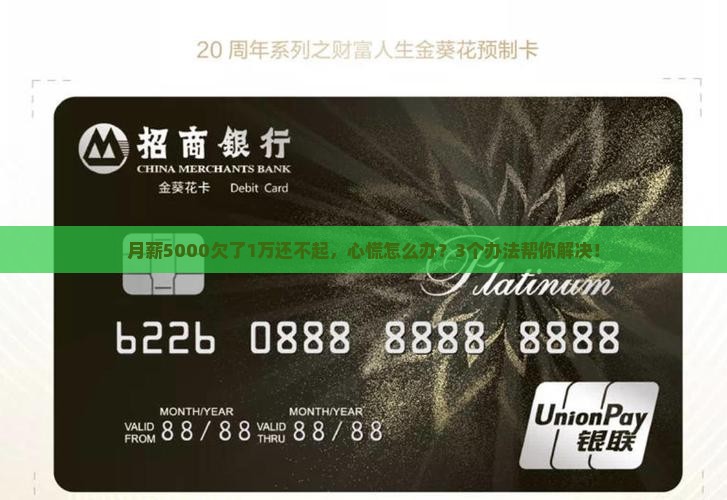 欠1万还不起怎么办如何解决