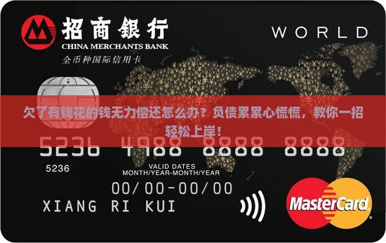 欠了有钱花的钱无力偿还怎么办