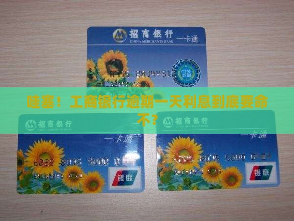工商银行逾期一天收利息是多少