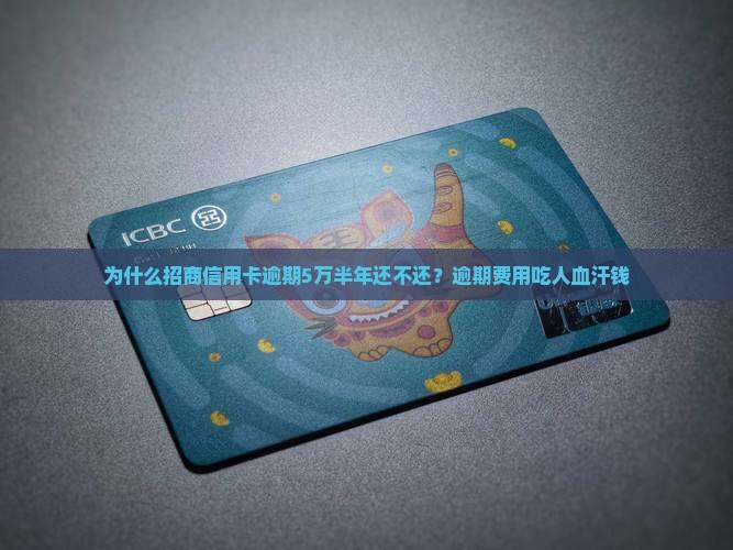 招商信用卡逾期5万半年