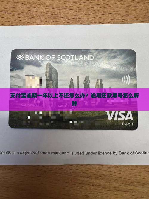 支付宝逾期一年以上如何处理
