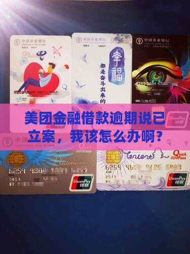 美团金融借款逾期说已立案应该怎么处理