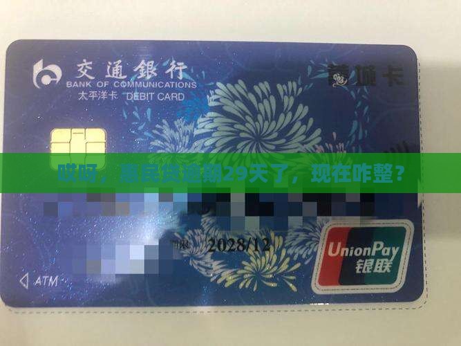 惠民贷逾期29天还款应该怎么处理
