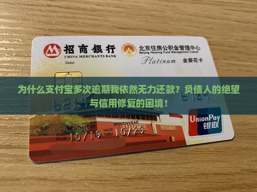 支付宝多次逾期无力还款