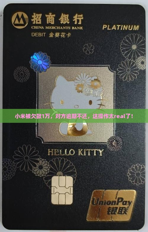 小米欠款逾期1w