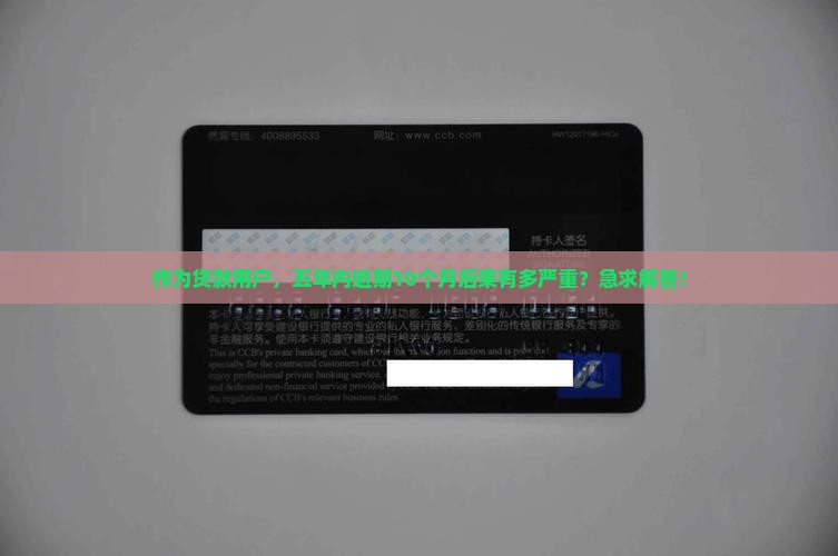五年内逾期10个月会有什么后果