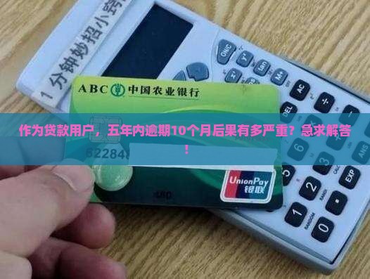 五年内逾期10个月会有什么后果