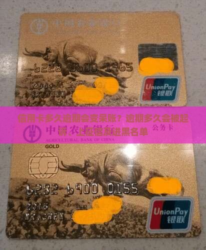 信用卡多久逾期会变呆账