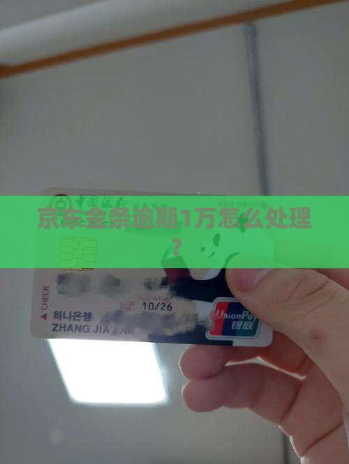 欠京东金条逾期1万怎么办